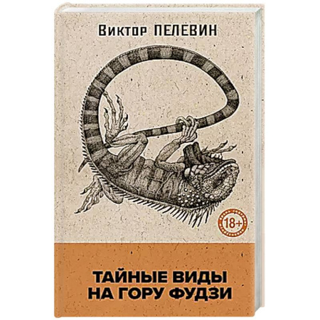 Классика, современная литература, книга Тайные виды на гору Фудзи