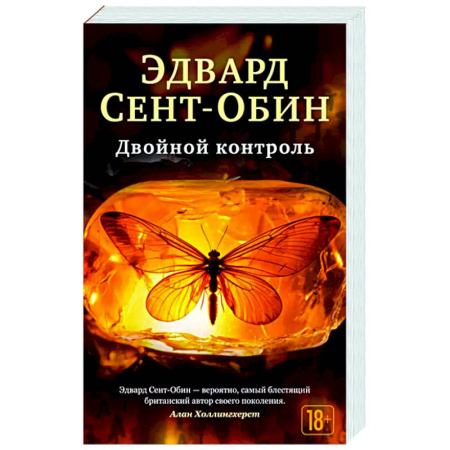 Классика, современная литература, книга Двойной контроль