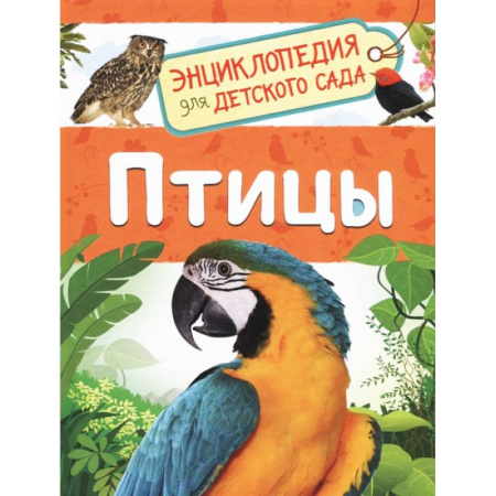 Познавательная литература, книга Птицы