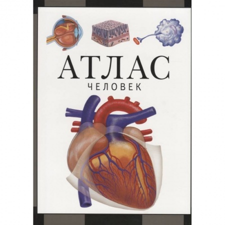 Естественные науки, книга Атлас.Человек