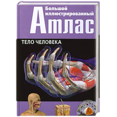 Книги, книга Большой иллюстрированный атлас. Тело человека