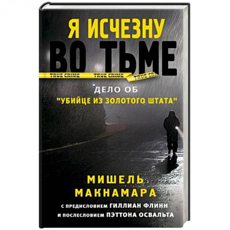 Детективы, триллеры, книга Я исчезну во тьме