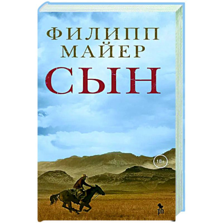 Классика, современная литература, книга Сын