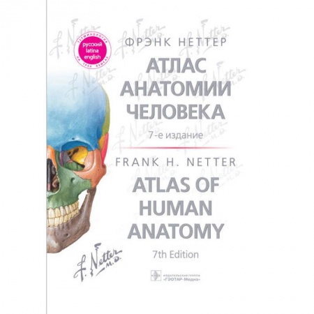 Естественные науки, книга Атлас анатомии человека: терминология на русском, латинском и английском языках