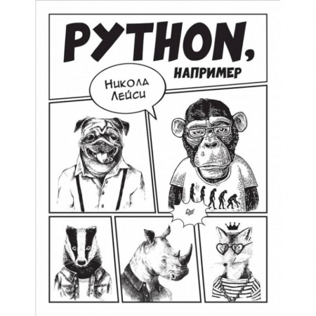 Разработка программного обеспечения, книга Python, например