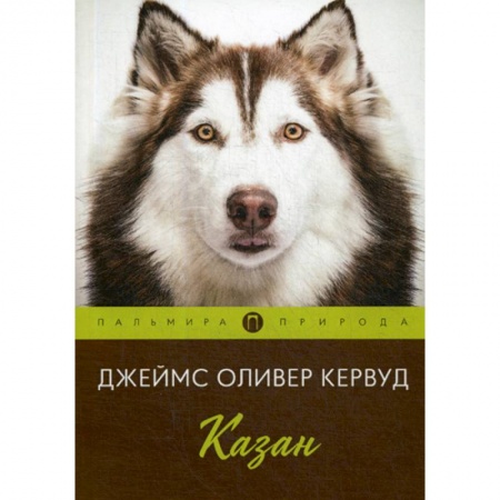 Классика, современная литература, книга Казан