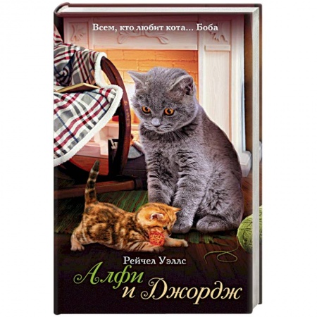 Классика, современная литература, книга Алфи и Джордж