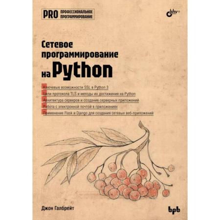 Языки и системы программирования, книга Сетевое программирование на Python