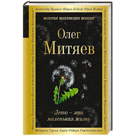 Классика, современная литература, книга Лето - это маленькая жизнь