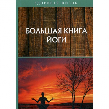 Йога и другие духовные практики, течения, книга Большая книга йоги