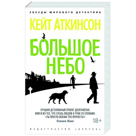 Детективы, триллеры, книга Большое небо