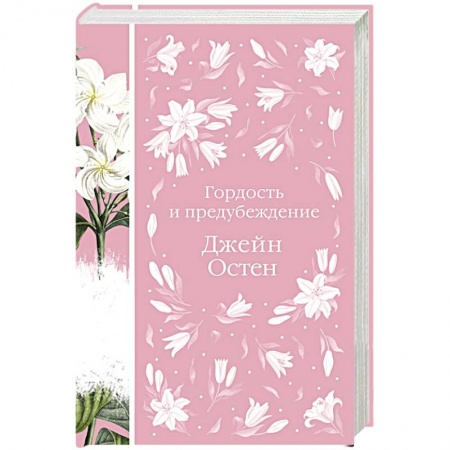 Классика, современная литература, книга Гордость и предубеждение