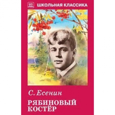 Поэзия для детей, книга Рябиновый костер
