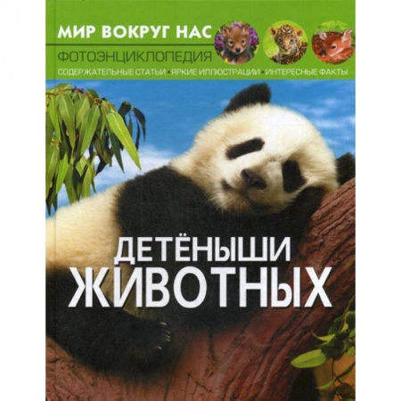 Познавательная литература, книга Мир вокруг нас. Детеныши животных