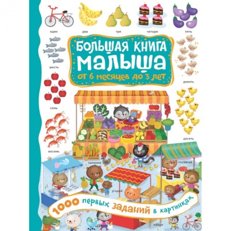 Познавательная литература, книга 1000 первых заданий в картинках