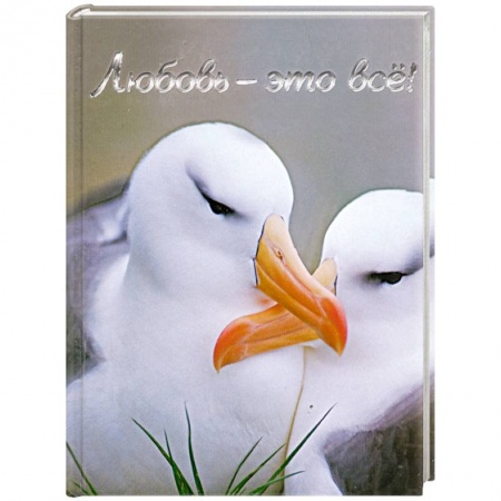 Книги, книга Любовь - это всё!