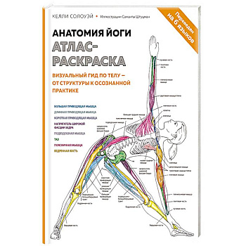 Анатомия йоги: атлас-раскраска. Визуальный гид по телу — от структуры к осознанной практике Анатомия йоги: атлас-раскраска. Визуальный гид по телу — от структуры к осознанной практике