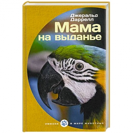 Книги, книга Мама на выданье