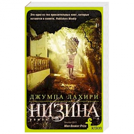 Классика, современная литература, книга Низина