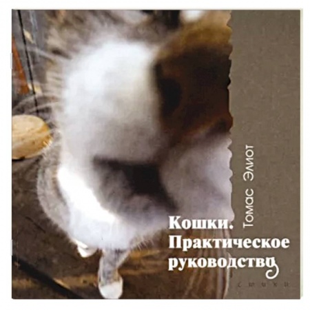Книги, книга Кошки. Практическое руководство