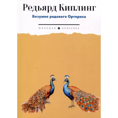 Классика, современная литература, книга Безумие рядового Ортериса