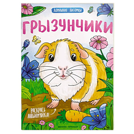Досуг, творчество и кулинария, книга Грызунчики. Книжка-раскраска