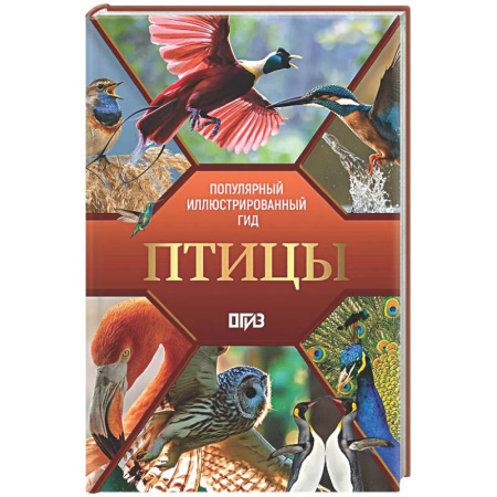 Познавательная литература, книга Птицы. Иллюстрированный гид