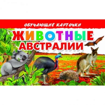 Книги, книга Карточки. Животные Австралии