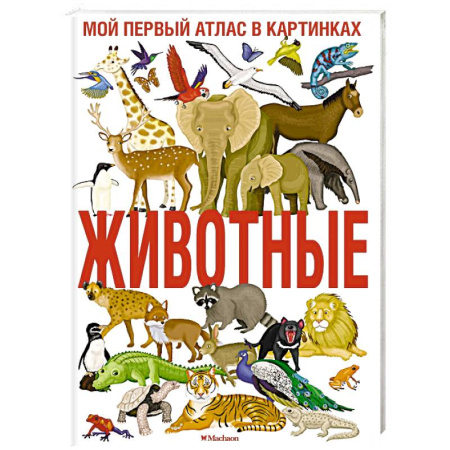 Познавательная литература, книга Животные. Мой первый атлас в картинках