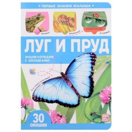 Книги для самых маленьких (0-3 года), книга Луг и пруд. Книжка с окошками