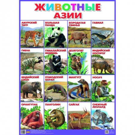 Книги, книга Плакат. Животные Азии (550х770)