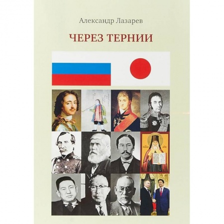 Публицистика, книга Через тернии