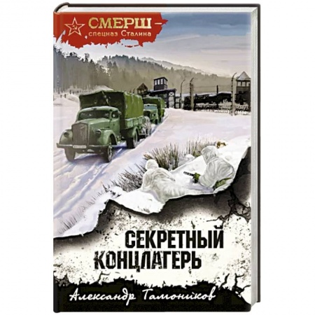 Детективы, триллеры, книга Секретный концлагерь