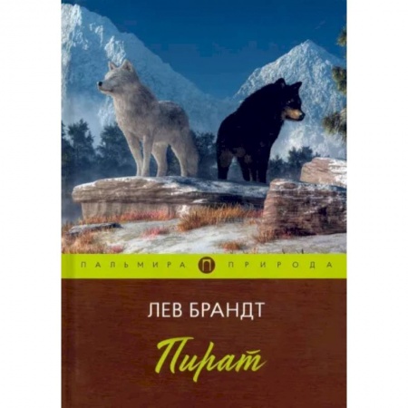 Классика, современная литература, книга Пират. Повести и рассказы