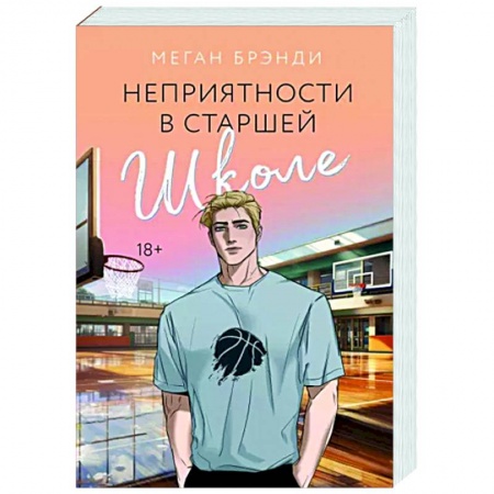 Любовный роман, книга Неприятности в старшей школе