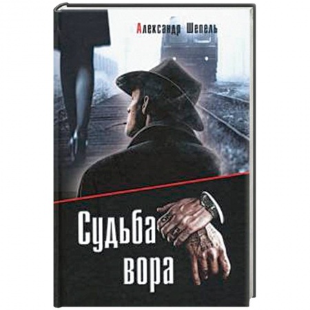 Детективы, триллеры, книга Судьба вора