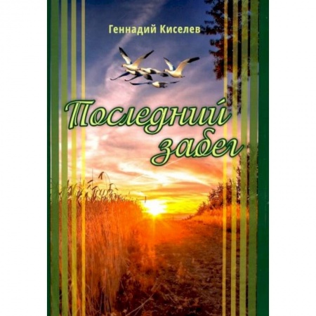 Классика, современная литература, книга Последний забег