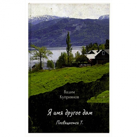 Классика, современная литература, книга Я имя другое дам