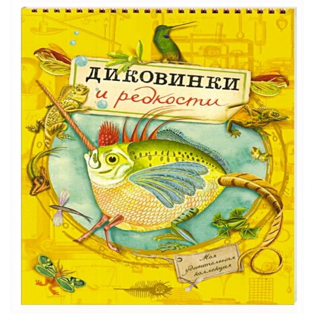 Досуг, творчество и кулинария, книга Моя удивительная коллекция. Диковинки и редкости