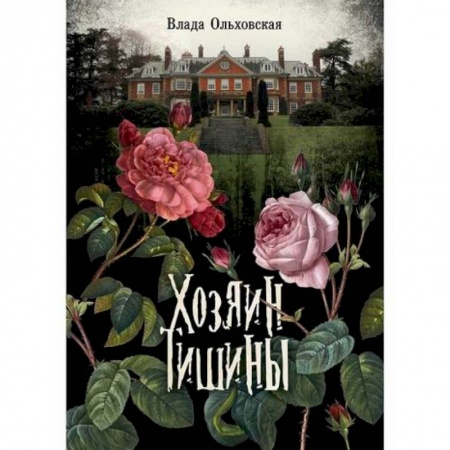 Детективы, триллеры, книга Хозяин тишины
