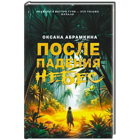 Классика, современная литература, книга После падения небес