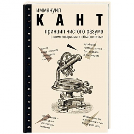 Общественные и гуманитарные науки, книга Принцип чистого разума с комментариями и объяснениями