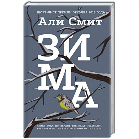 Классика, современная литература, книга Зима