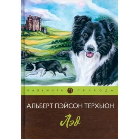 Классика, современная литература, книга Лэд