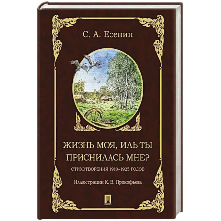 Классика, современная литература, книга Жизнь моя, иль ты приснилась мне?