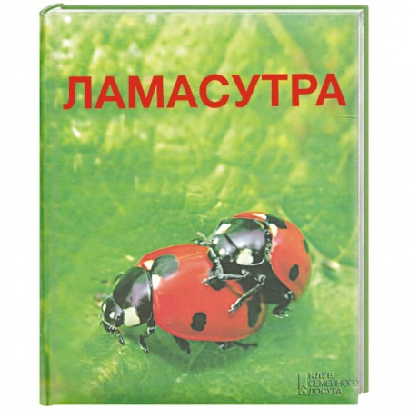 Книги, книга Ламасутра