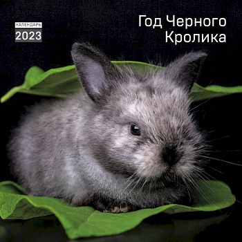Год черного кролика. Календарь настенный на 2023 год (300х300 мм)