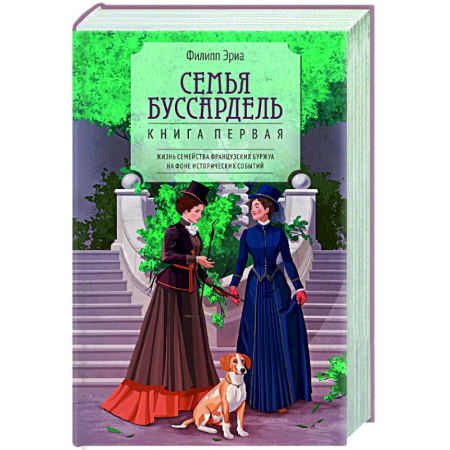 Классика, современная литература, книга Семья Буссардель