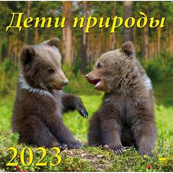 Календарь Дети природы, на 2023 год