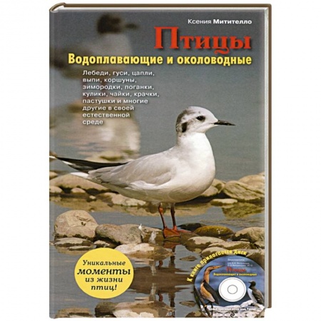 Книги, книга Птицы. Водоплавающие и околоводные (+CD)